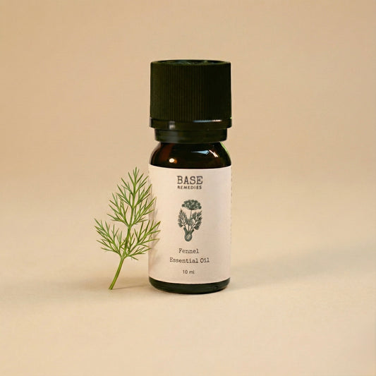 Fennel Essential Oil