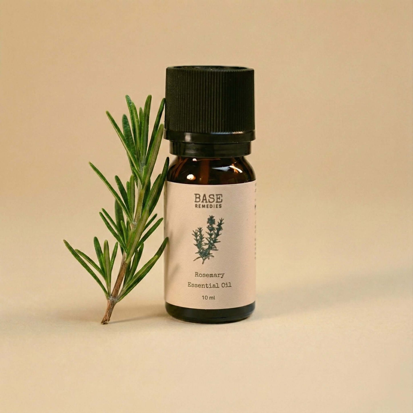 Rosemary Essential Oil by Base Remedies with rosemary sprig, organic and single origin